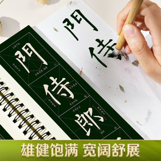 Cuaderno de caligrafía Huaxia Wanjuan, tarjeta de caligrafía con copia cercana, volumen completo de la estela de Yan Zhenqing y Yan Qin, copia refinada de la caligrafía de estela, introducción para adultos principiantes, cuaderno de caligrafía con copia a pincel ampliada, 2 volúmenes