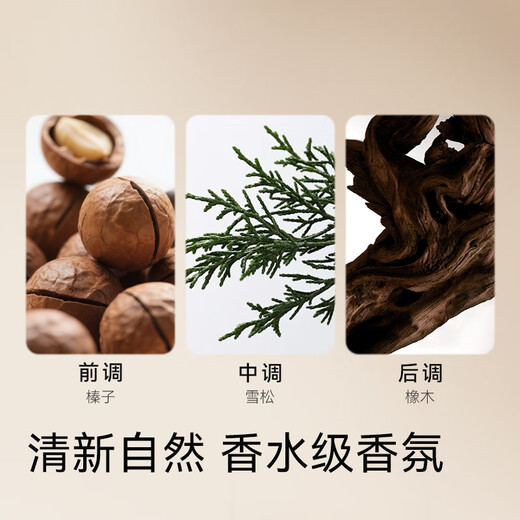 Made in Tokyo, foam antibacterial 99.9% fragrance hand sanitizer 430mL, oak forest fragrance after rain, amino acid moisturizing and gentle