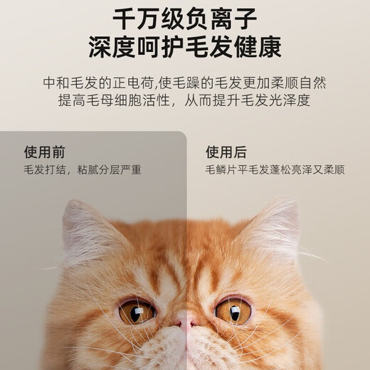 Bikabee Pet Intelligent Dryer Cat Fully Automatic Dog Drying Box Quiet Dog Household Cat Hair Blow Bag Hair Dryer Artifact S5 Pear Blossom White Top with 64L UV-Oxygen Disinfection + Negative Ions