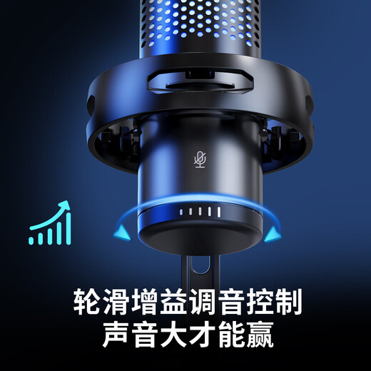 Riksoin computer desktop microphone usb game anchor e-sports live recording microphone noise reduction mobile phone desktop notebook radio microphone karaoke wired condenser microphone professional game condenser microphone plug and play + bright vocals