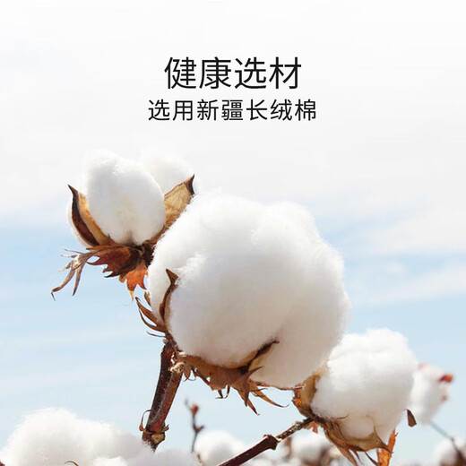 Silkworm Queen Double Palace Cocoon Children's Silk Quilt Filament Boys Girls Spring and Autumn Kindergarten Quilt Winter Quilt Baby Baby Sea Voyage Selected Double Palace Silkworm Filament 120*15綶Extremely Shipping 120*150cm Mother and Child Quilt Silk Net Weight 0.5+1Jin Jin is equal to 0.5kg (Four Seasons