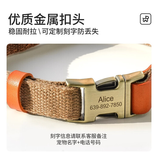 DidogPet dog collar engraved anti-lost traction rope medium and large dog collar golden retriever corgi labrador small dog collar Morandi green please leave a message or note for engraving M size recommended 18-40 Jin Jin equals 0.5 kg