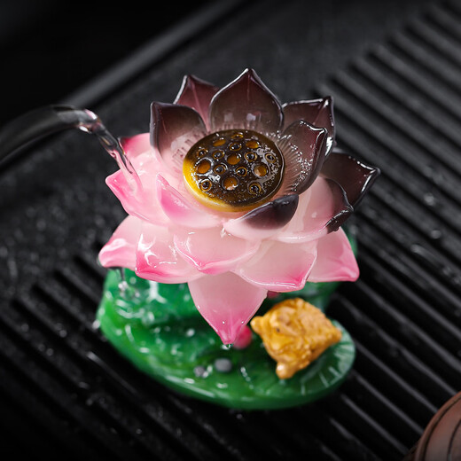 Color-changing tea pet ornaments can raise high-end creative Zen lotus golden toad tea play tea table tea table lucky tea accessories golden toad play dew