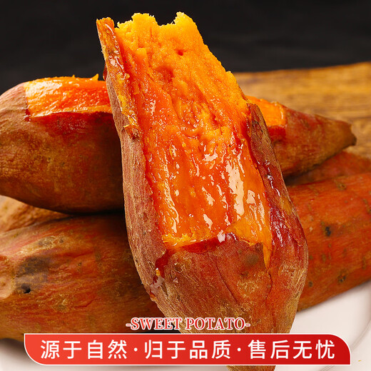 春福乐红薯【源头直发】山东烟薯25号番薯糖心红薯当季新鲜蔬菜副食现挖 5斤果农严选【糖心流油】净重4.5斤