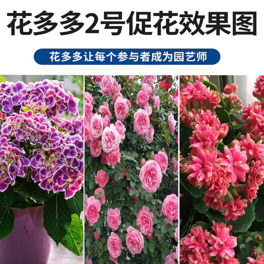 Huaduoduo No. 1 No. 2 No. 10 No. 1 No. 2 No. 12 No. 15 original imported fertilizer water-soluble fertilizer No. 1 500g + No. 2 500g free 1 liter pot