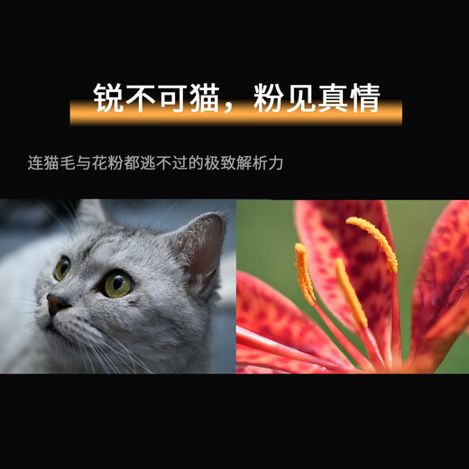 Cheka 35mmF1.6 second generation portrait retro portable lens for X, Z, R, E, M43 mount Sony E mount black