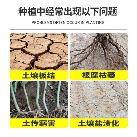 Nanhua Qianmu Bacillus subtilis agricultural microbial agent to prevent root rot water-soluble fertilizer to improve soil rooting feed addition Bacillus subtilis 1000g*1 bag