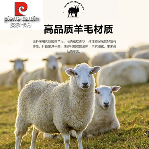 Pierre Cardin 2025 Autumn and Winter Worsted Wool Suit Suit Male Groom Wedding Dress Business High-end Suit Two-piece Set Blue 3XL 190