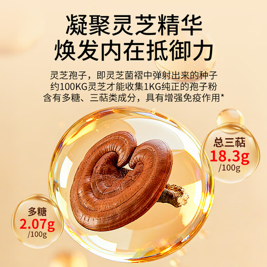 福东海  破壁灵芝孢子粉100克 总三萜高达15g 高端礼品送中老年免疫力