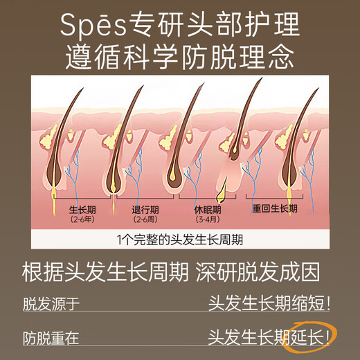 Spes anti-hair loss shampoo Platycladus orientalis leaf anti-hair breakage oil control fluffy men and women shampoo 300ml