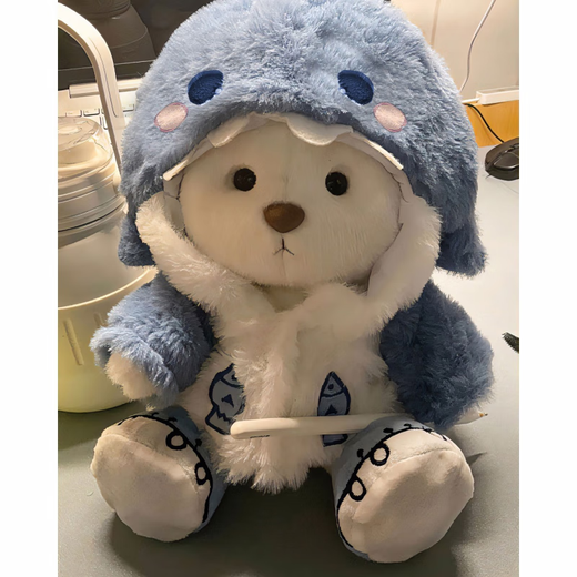 Shantou Lin Village Chinese Valentine's Day gift, cute Xiaona bear plush toy for girl's best friend's birthday, milk white bear + Belle hat pink T overalls ice cream, gift box packaging 30cm bear