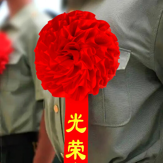 Huawoli Landscape Glory Corsage for Retirement and Retirement 2 Packs Wu Dahonghua Chest Commendation Corsage for Soldiers Military Double-sided Pin