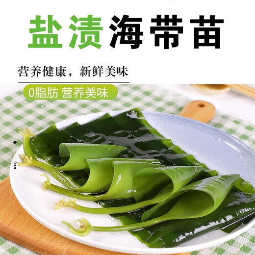 福建霞浦盐渍海带苗新鲜特厚昆布无沙高泡发低盐火锅炒菜商用批发 盐渍海带苗1包500g