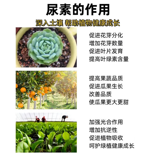 Stanley outlets direct sales of urea fertilizer for agriculture 10-100 Jin Jin equals 0.5 kg, general organic fertilizer for vegetables, fruit trees and flowers, household chemical fertilizer, large granular urea 50 Jin Jin equal to 0.5 kg, subcontracted delivery