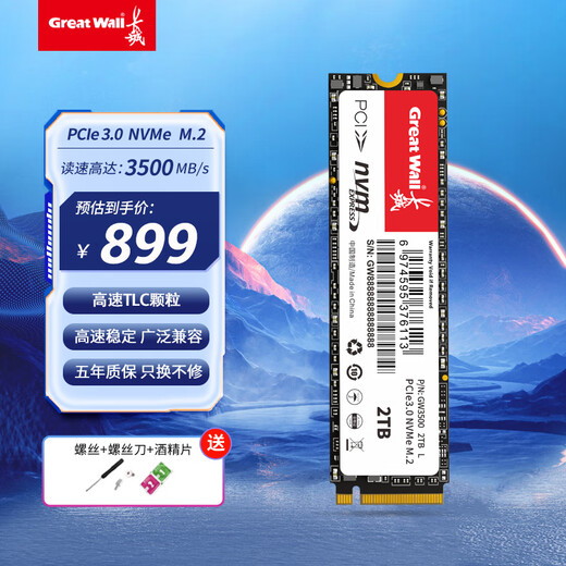 长城（Great Wall）2T SSD固态硬盘 M.2接口(NVMe协议)PCIe 3.0x4 GW3500系列 读速可高达3500MB/s