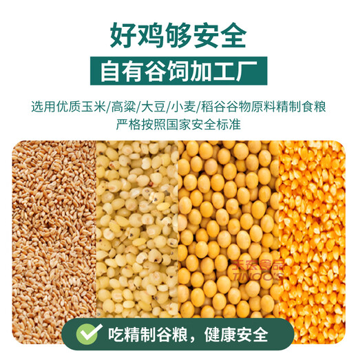 Tiannong Qingyuan Chicken Old Hen Whole Chicken 2Jin Jin equals 0.5kg Ecological Free Range 300 Days Free Range Chicken Frozen Confinement Stew