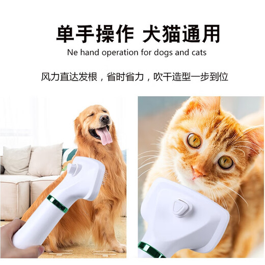Dog and cat quick-drying fluffy comb pet smart electric hot air comb dog and cat air-drying and hair removal all in one champagne gold