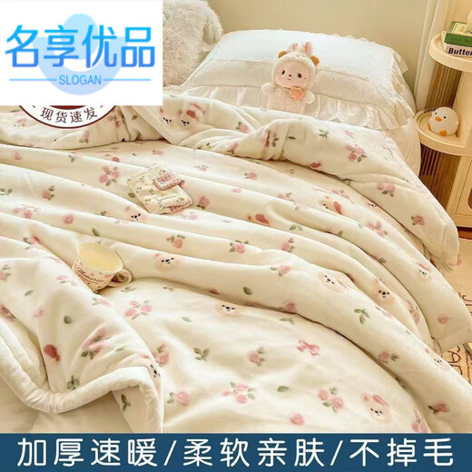 Famous premium autumn and winter thickened double-layer Raschel blanket single double blanket warm student sheets quilt cover blanket ground blue 200cm*225cm about 6Jin Jin equals 0.5kg double-layer thickened