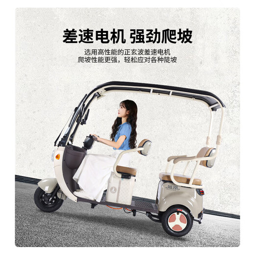 Phoenix Fengya electric tricycle household electric motorcycle adult electric vehicle small tricycle electric vehicle with shed Chaowei battery 600W+60V24A black gold + battery life about 50 kilometers
