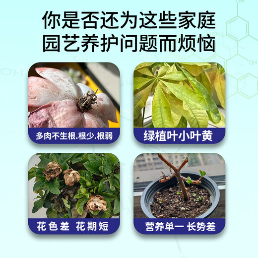 Kanamadu Amino Acid Water-Soluble Fertilizer for Flowers and Green Plants, Succulent Roots, Strong Roots, Leaves and Flowers, Foliar Fertilizer for Household Use to Give Back to Fans, Buy 2 Get 1 Free and Get 3 Bottles