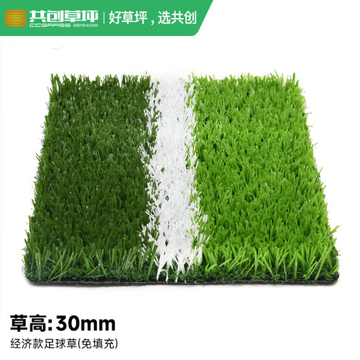 Co-Create Turf Artificial Turf Courtyard Kindergarten Golf Simulated Turf Garden Gym School Rooftop False Lawn Villa 30mm Economical Football Grass (No Filling)