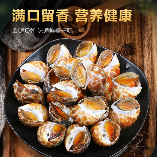 Xianchi Flower Snails Fresh Fresh Frozen Conch Extra Large Dongfeng Snail Extra Large Deep Sea Shellfish Seafood Wholesale Extra Large No Sand Net Weight 1500g