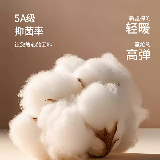 Urban Beauty High Waist Cotton Autumn Pants Women's Warm Pants Antibacterial Large Size Autumn and Winter Shaping Leggings Cotton Woolen Pants Women