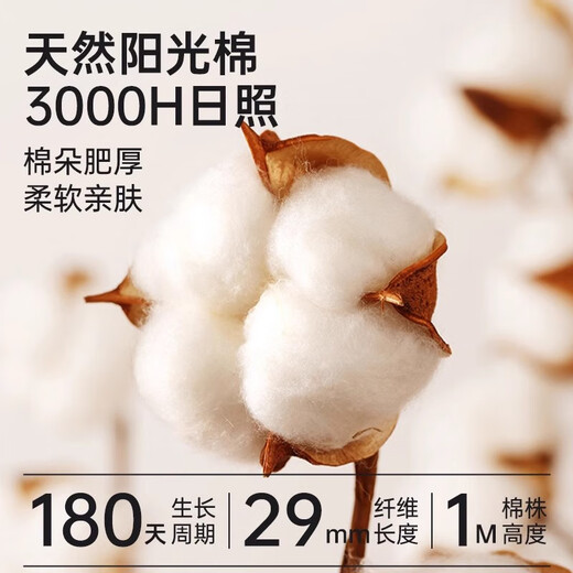 雅鹿2套男士秋衣秋裤男100%纯棉秋季薄款圆领保暖内衣套装打底棉毛衫 圆领-100%纯棉2套装【黑色+深麻灰】 3XL 【适合160-180斤】