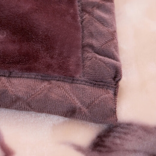 Shijanu New Product Blanket Class A Super Soft Student Baby Double Layer Single Blossom 180x220cm_6Jin Jin equals 0.5kg