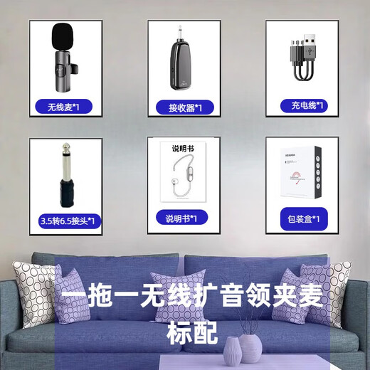 HATEHU Wireless Microphone Teacher's Special Lavalier Little Bee Amplifier for Classroom Upgrade Special for Teacher Classroom Lectures Portable Headset Amplification Upgraded True Wireless Lavalier-Single Microphone