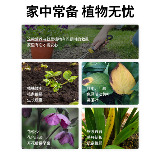 Plant nutrient solution, universal household potted money tree, rich bamboo and green dill, hydroponic flower and green plant vegetable fertilizer, nutrient solution 2500ml, one bottle worth 5 bottles