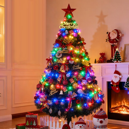 Extreme space Christmas tree luxury encrypted package Christmas decorations home shopping mall atmosphere layout 1.8 meters including colored lights