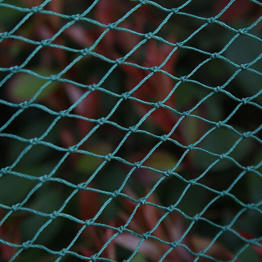 Lotus flower fence guardrail net breeding net chicken farm duck net fishing net lifting net river net poultry net anti-bird net climbing vine net thickened rope 18 strands side length 2 cm mesh