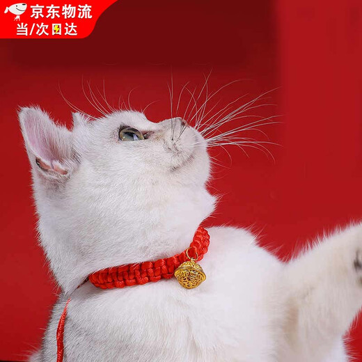 Lan Lian Cat Collar Neck Decoration Pet Necklace Collar Kitten New Year Red Rope Bell Chinese Style Dog Collar Accessories Red Rope-Bell Style Range 18-32cm