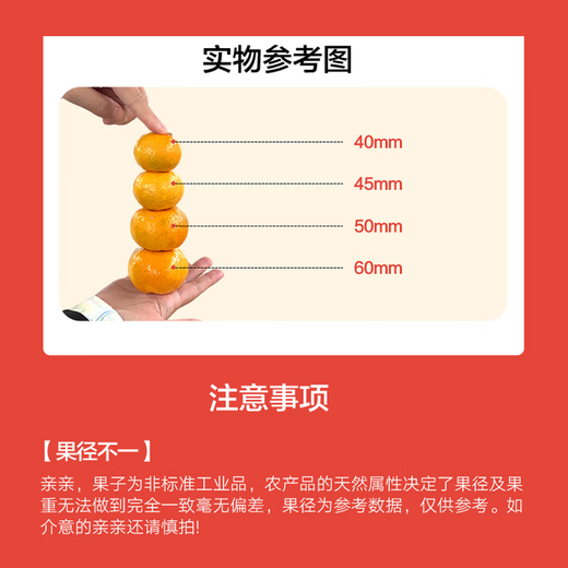 京鲜生 江西新余蜜桔 单果50-60mm 净重4.5斤 【精选家庭装】源头直发