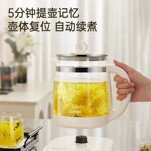 SUPOR Health Pot 1.5L Large Capacity 316L Stainless Steel Tea Kettle Thickened Glass Insulation Tea Kettle Office Constant Temperature Kettle Flower Tea Kettle Electric Kettle 18 Big Run Yang Menu 304 Stainless Steel 1.5L