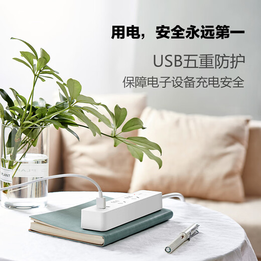 BULL socket/intelligent USB socket/socket strip/strip strip/socket strip 2 sockets + 2 USB master control total length 1.5 meters GN-UUC122