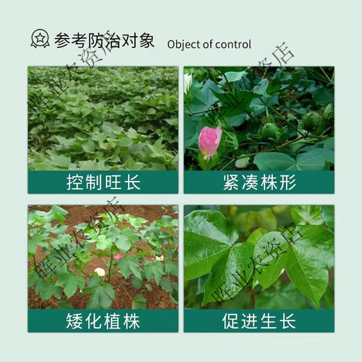 Guoguang Guoguang methylphenidate methicillin to support growth hormone grape tomato pepper watermelon strawberry cotton chlormequat enlargement agent 10g