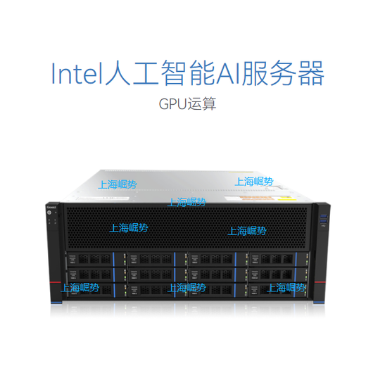 Rise Technology Intel deep learning/deepseek/artificial intelligence/large model training/5090/4090/A6000/A100/H100/4U rack/4GPU server Intel Xeon 6148 20 cores 40 threads *2 RTX PRO6000 96G GPU card *2