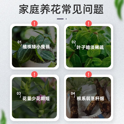 Beike Shi Pai Yi Fa San nutrient solution plant universal flower fertilizer household potted plants hydroponic rich bamboo universal nutrient solution 3 bottles