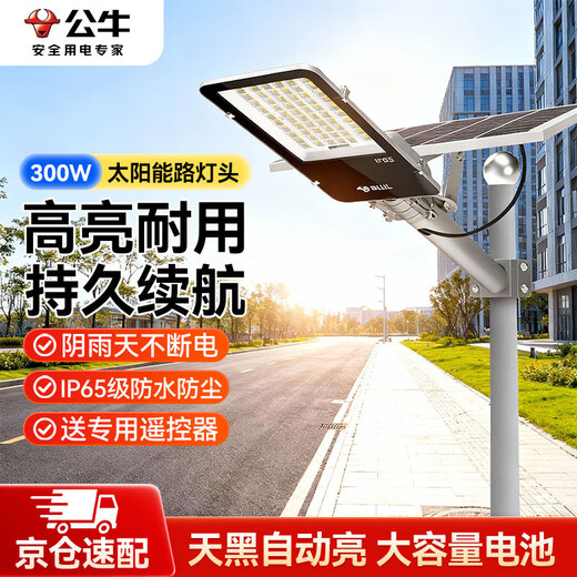 BULL solar street light outdoor yard light waterproof and anti-collision intelligent light control MG-C300B-AE luminous flux 850lm