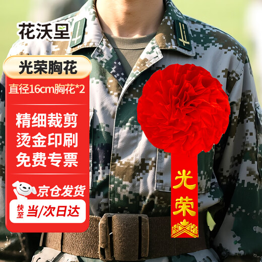 Huawoli Landscape Glory Corsage for Retirement and Retirement 2 Packs Wu Dahonghua Chest Commendation Corsage for Soldiers Military Double-sided Pin