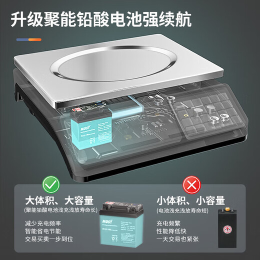 ZHIZUN electronic scale for business, small 30kg accurate electronic scale for selling vegetables and stalls, kilogram weighing food and fruit kitchen scale pricing scale, dual display LCD flat plate 30kg 5g