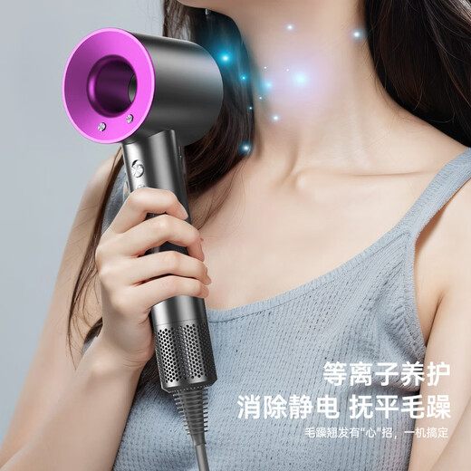 Leifen Ruiyue Hair Dryer Home Silent Negative Ion High-Power Hair Dryer Hair Dryer Home Hair Salon Constant Temperature Hair Care Series Special for Men and Women Hair Style Rose Red - Single Nozzle Billion-level Hydrating Negative Ions Constant Temperature Hair Care Cable 1.7 Meters Gift Box