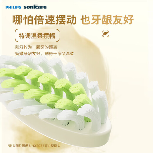 Philips (PHILIPS) Electric Toothbrush SPA Spa Brush S5 Birthday Gift Couple Give Boy/Girlfriend 5 Modes Soft Whitening Gum Protection HX2491/01 New Year’s Gift Valentine’s Day Gift HX2491/02