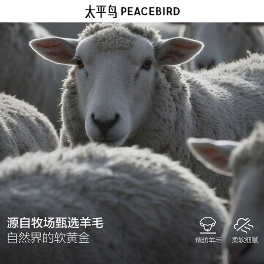 PEACEBIRD Men's Shopping Mall Same Style Coat Winter New Double-sided Wool Coat B1AAE4210 Black 1 XL