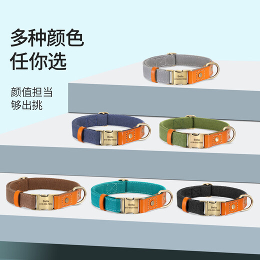 DidogPet dog collar engraved anti-lost traction rope medium and large dog collar golden retriever corgi labrador small dog collar Morandi green please leave a message or note for engraving M size recommended 18-40 Jin Jin equals 0.5 kg