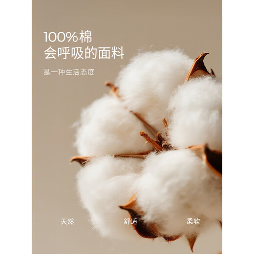 Mohan Yimei classic cotton shirt 2025 autumn new high-end paper man casual slim top for women