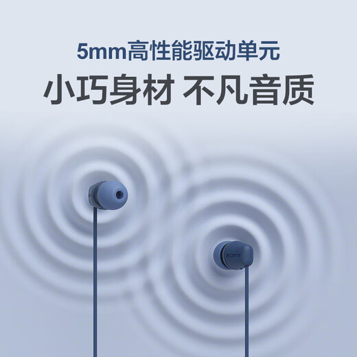 SONY Sony (SONY) IER-EX15C wired headphones Type-C in-ear headphones with microphone for calls, mobile music headphones, suitable for computers and notebooks, black