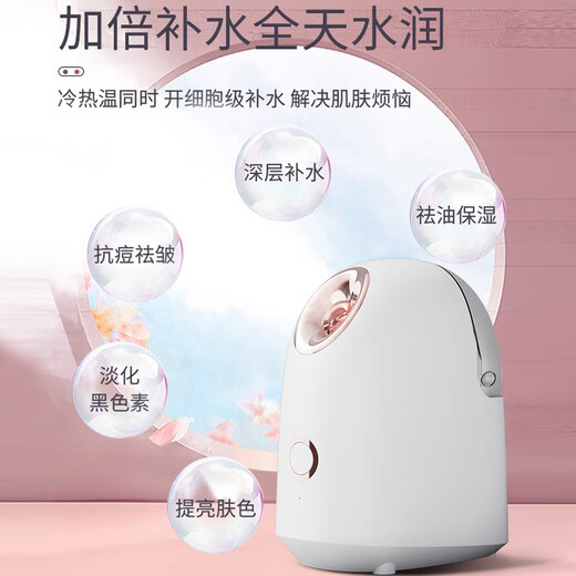 DIKTT German facial steamer, hot and cold spray, facial steamer, beauty salon, nano spray, hydrating artifact, beauty instrument, facial open pores, hot spray steamer, household facial steamer, top version, party powder, constant temperature hot spray, nano large spray